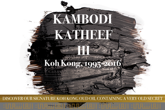Kambodi Katheef III