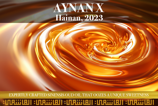 Aynan X