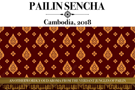 Pailin Sencha