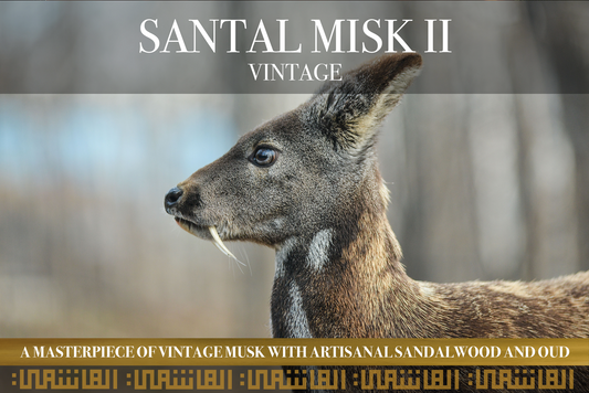SANTALMISK II