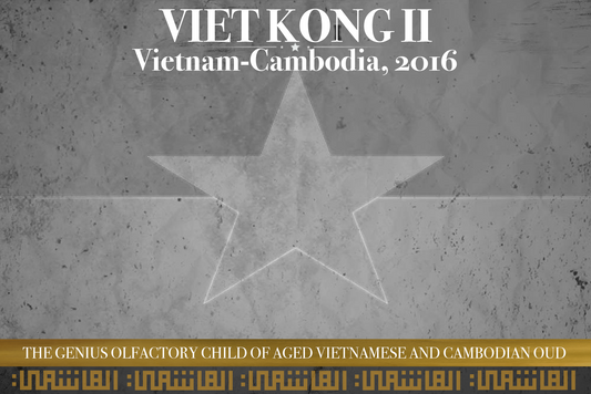 Viet Kong II